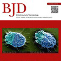 Fibroblast Extracellular Matrix Role in Future Skin Substitutes