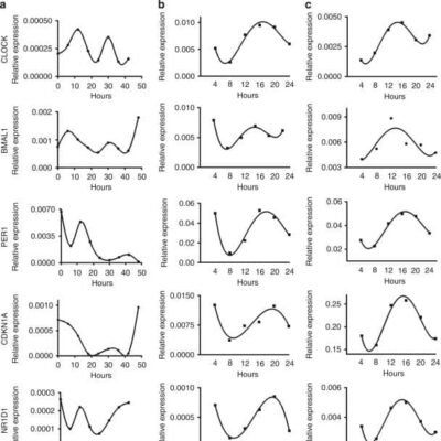 Clock Genes as Hairloss Treatment Targets - University of Manchester, etc