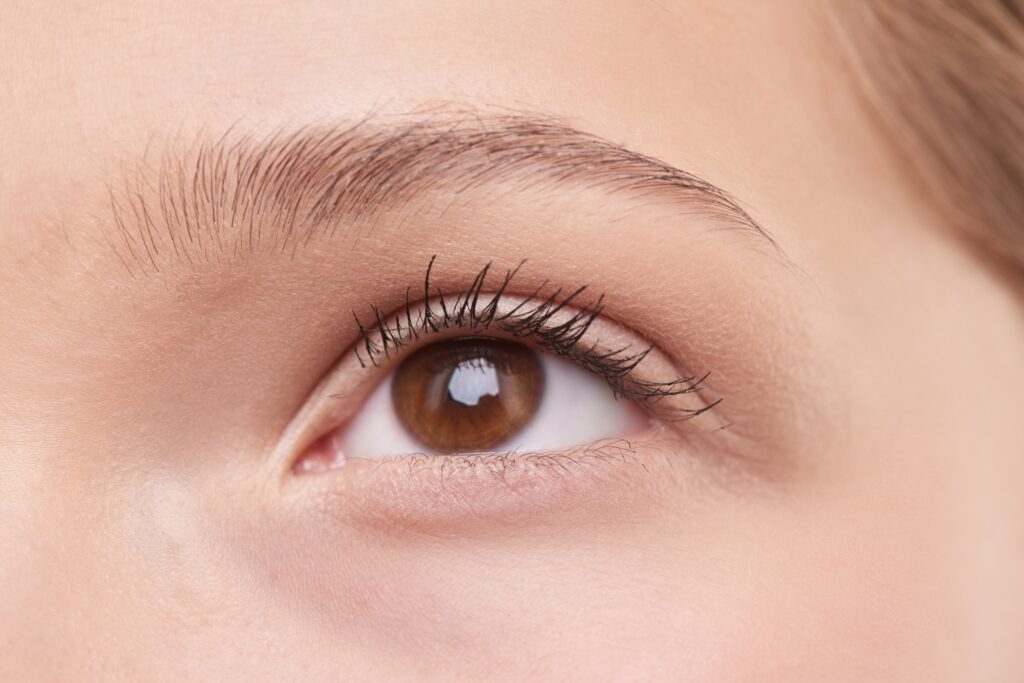 Eyebrows - Aesthetic augmentation & Restoration