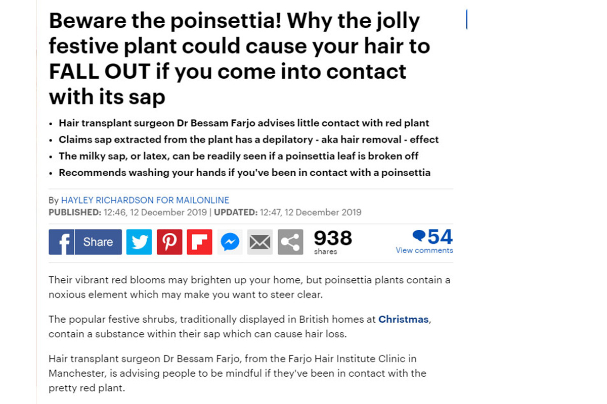 Beware the poinsettia! Why the jolly festive plant could cause your hair to FALL OUT if you come into contact with its sap